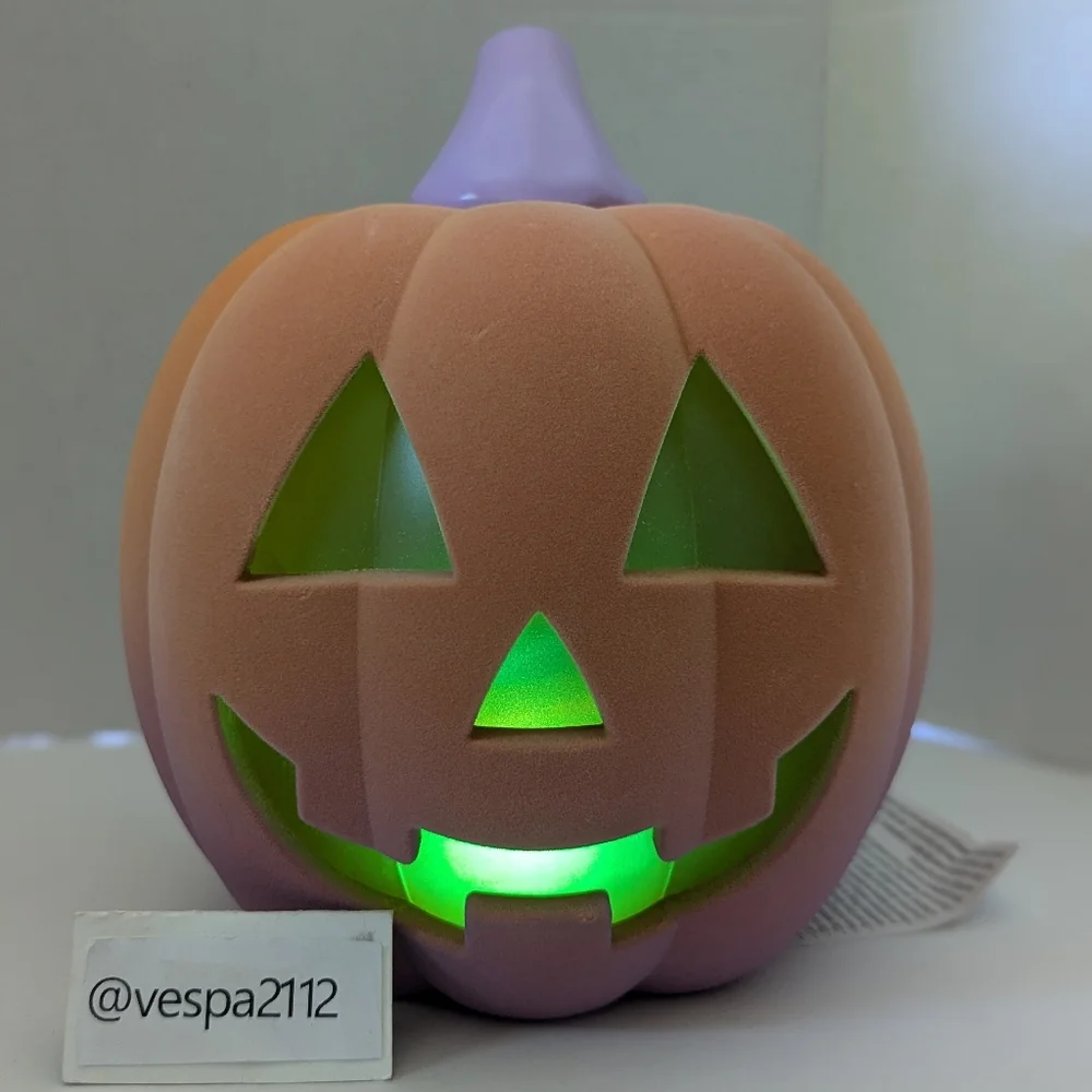 Target Bullseye Playground Summerween Pumpkin Orange Flocked LED Halloween